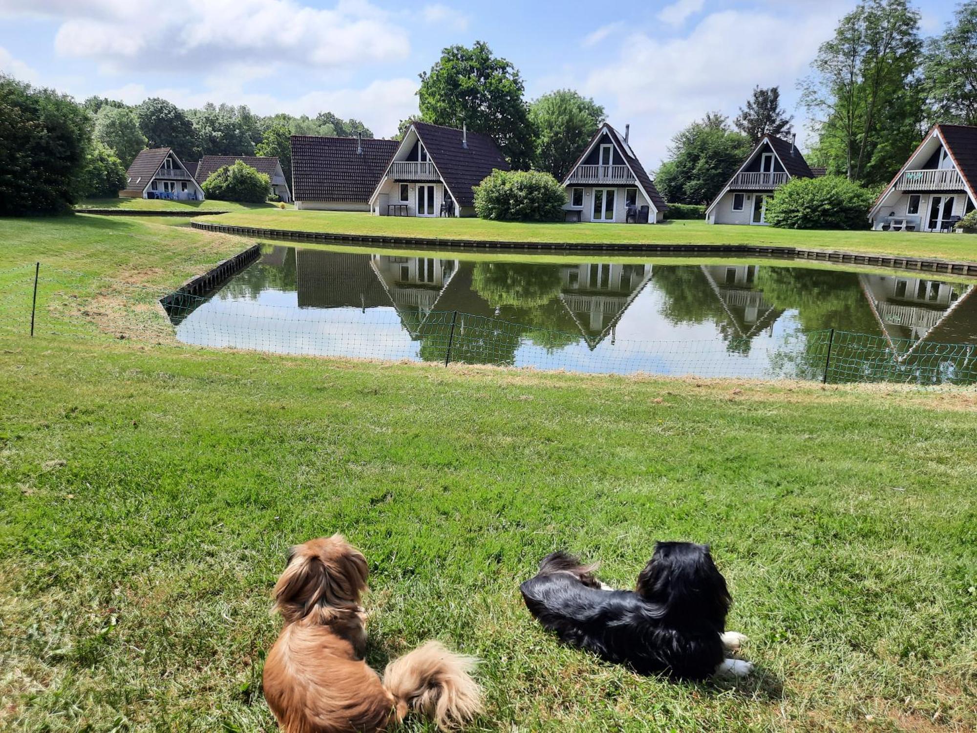 De Gouwe, 158 - Aan Visvijver, De Beste Visstek Gramsbergen Exteriér fotografie